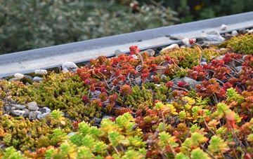 the cost of Grasby green roof installation