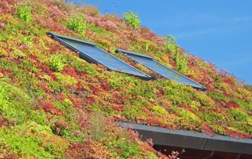 Grasby living roof systems