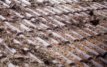 Grasby roof cleaning companies